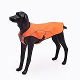 BlackDoggy 犬用クールベスト ひんやりお散歩タンクトップ 冷感犬服 熱中症対策グッズ 秋冬防寒犬服兼用 (LL)