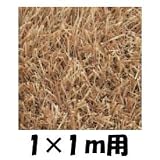 クローバーターフ　レギュラータイプ　人工芝：30mm　1ｍ×1ｍ　CTLA30 ラテ