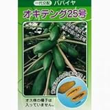 パパイヤ 種 【 オキテング25号 】 種子 20ml(約200粒）