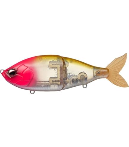 Amazon | エバーグリーン(EVERGREEN) エスフラット スペアライブ