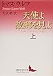 天使よ故郷を見よ 上 (講談社文芸文庫)