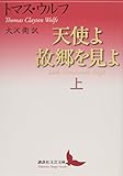 天使よ故郷を見よ 上 (講談社文芸文庫)