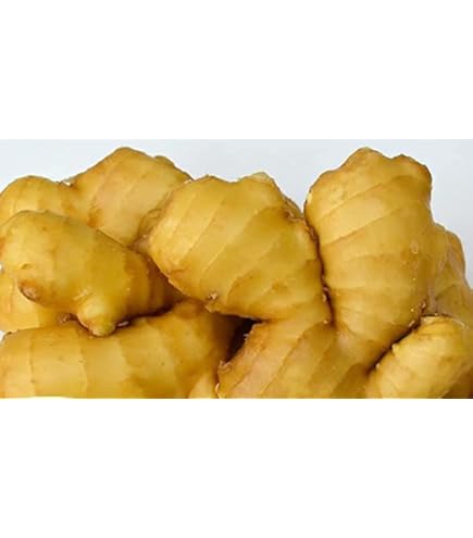 Amazon.co.jp: 食用 中国産 黄金生姜 10kg（近江生姜 黄色） : 食品