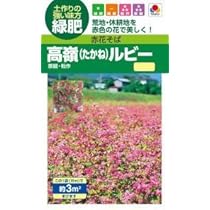 世界に夢をまく「サカタのタネ」 世界に夢をまく「サカタのタネ」 世界に夢をまく「サカタのタネ