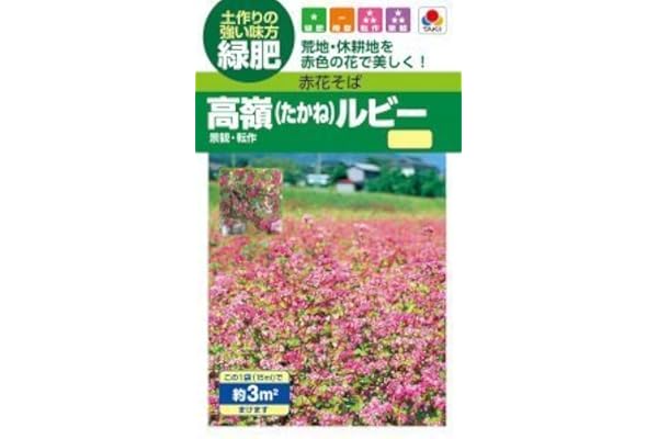 Amazon 高嶺ルビーneo 赤花そば タキイ種苗のタネ 農林水産省登録品種 登録名 高嶺ルビー11 芝生
