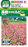 【種子】 赤花そば 高嶺ルビーNeo タキイのタネ