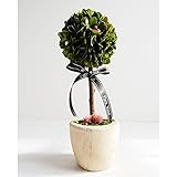 パラボッセオリジナル プリザーブドフラワー トピアリー まる Mサイズ 横幅12cmx12cmx高さ18cm preserved flowers