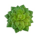 Baoblaze 人工　ジューシー　タッチ　クワズイモ　花　観葉植物　装飾　飾り物