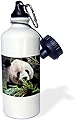 ローズWB 70237 _ 1 "アジア、中国重慶。Giant Panda Bear重慶、動物園。-as07 kwi0155キムリ・ウィット"スポーツウォーターボトル、21オンス、ホワイト