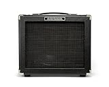 Electro Harmonix/Dirt Road Special [40W Amplifier]