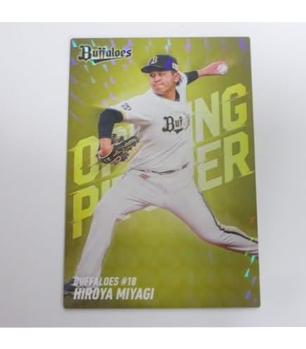 Amazon.co.jp: 2026プロ野球チップスカード第1弾□スターカード□S-05