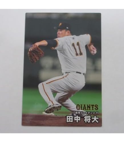 Amazon.co.jp: プロ野球チップス2024 第1弾 HR-01 佐藤 輝明 (阪神