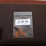 盆栽種子：高野槇（こうやまき）*