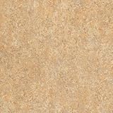 東リ クッションフロアP リノリュウム柄 色 CF4166 サイズ 182cm巾×8m 〔日本製〕