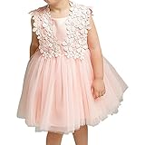 超ナイス　ベビー服　ピンク　プリンセス　花柄　レース　チュール　ワンピース　幼児　子供　女の子　リボン　蝶結び　ドレス　出産お祝い　撮影　記念日 [並行輸入品]