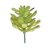 Bulary 造花　ミニ多肉植物　人工観葉植物　インテリア プレゼント 室内　タイプ4