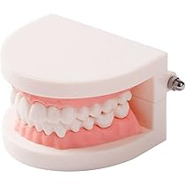 416xVews0mL._AC_UL210_SR210,