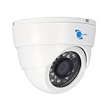 Linemak IR Dome Camera, 1/3" HDIS CMOS Sensor, 700TVL, 3.6mm lens, 24 LEDs, 65ft IR, for DVR or surv