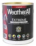 True Value Mfg waefd-qt Extreme Exteriorペイント/プライマー1つで、深いベース、1-qt。 4 WAEFD-QT