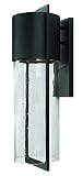 Hinkley Lighting 1325BK Shelter Outdoor 1-Light Lantern, Black [並行輸入品]