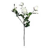 ローズスプレー×5 FXFR0018CR