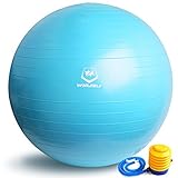 WinLine　バランスボール ヨガボール ダイエット エクササイズ　フィットネス　 65cm...