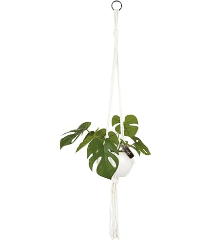 Amazon｜人工観葉植物 ビカクシダ ハンギングボール 46（1個入り