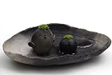 苔盆栽 モスモス モストリ 黒 コトリ 黒 炭化焼締器セット