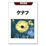 ケナフの種　3袋セット[紙の原料、二酸化炭素削減効果のあるエコ植物][春まき][花タネ] ノーブランド品