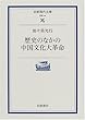 歴史のなかの中国文化大革命 (岩波現代文庫)