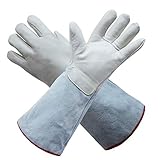 KYCD 不凍液 低温 レザー 冷温兼用 保護手袋 ホワイト 36cm White 612