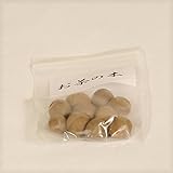 盆栽種子：お茶の木