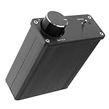 Homyl ミニ TPA3116 オーディオ ハイファイ 2.0チャンネル ステレオ 出力 デジタル パワー アンプ