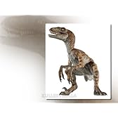 Velociraptor　（ベロキラプトル）