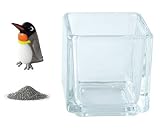 花市場直送便 ミニチュアガラス キングペンギン & カラーサンド ブラック & 植え込み用グラス ニューブロックS