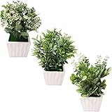 MedianField 【 観葉植物 ミニ 鉢植え 3個セット 】 フェイクグリーン 造花 人工観葉植物 インテリア 小さい 観葉 植物 おしゃれ 雑貨 人工 陶器 鉢 白 フェイク 緑 グリーン ギ