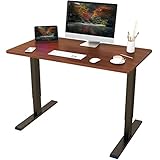 Lubvlook 電動式スタンディングデスク(幅110×奥行60) 昇降デスク 高さ調節デスク パソコンデスク