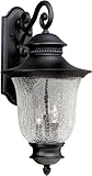 Forte Lighting 1726-03-04 Exterior Wall Light with Clear Crackle Glass Shades, Black by Forte Lighti