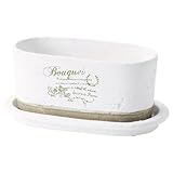 Paseo Print Compote  JK-07