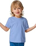 Hanes T120 Comfortsoft Crewneck ToDDler T-Shirt Size 4T, Light Blue