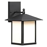 Galaxy Lighting 312690BK Outdoor Sconce [並行輸入品]