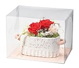 Paseo クリアケース入り プリザーブドフラワー カフェローズ レッド 20×15×H15cm M-30RD