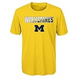NCAA Wisconsinパフォーマンス半袖Tee L イエロー
