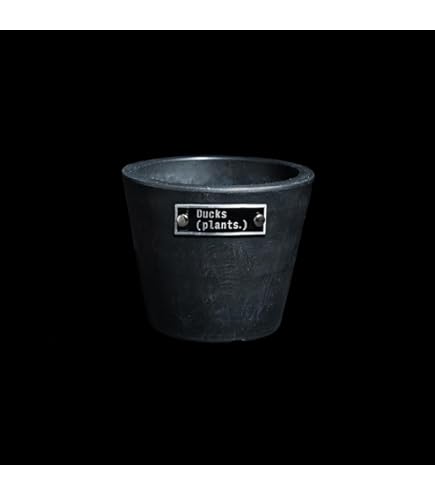 Amazon.co.jp: 阪本健y鉢 陶器鉢 檢)invisible ink invisibleink