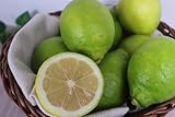 【美味しいレモン】1kg レモン Ｌサイズ 国産 lemon 柑橘類 果物 三重県産 佐賀県 和歌山県産 広島県産