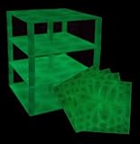 Premium Glow in the Dark Stackable Base Plates - 4 Pack 10" x 10" Baseplate Bundle with 30 New and I