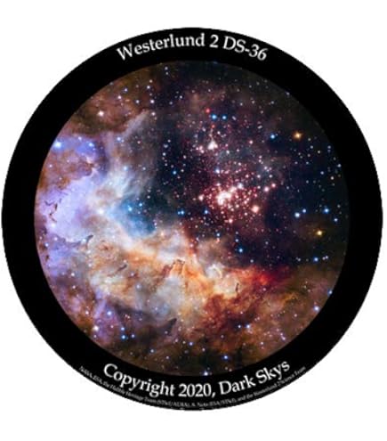 Amazon.co.jp: Sega Toys Heimplanetarium Homestar Flux (Satin