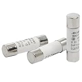 uxcell 速断セラミックヒューズ 500V GL 10A円柱形状 RT18 RT14 10x38mm 3セット