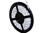 Liroyal 5 M 3528 SMD 300 LEDライトストリップ防水クリスマス照明12 V日ホワイト