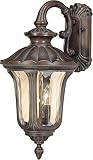 Nuvo 60/2004 Arm Down Wall Lantern with Amber Water Glass, Fruitwood, Mid-Size [並行輸入品]